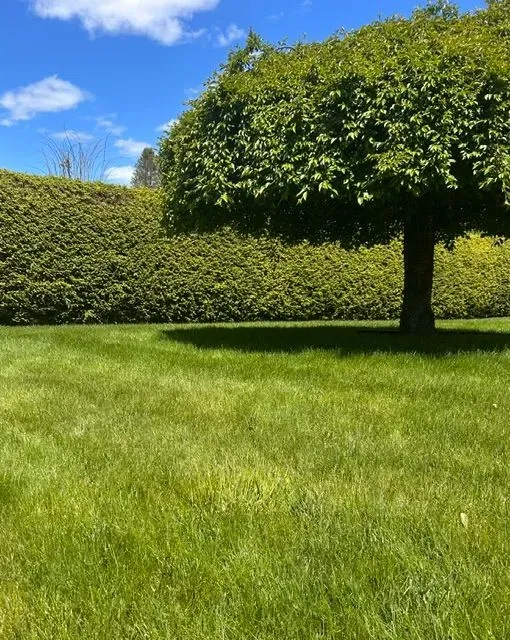 work photo from cmslandscaping.com