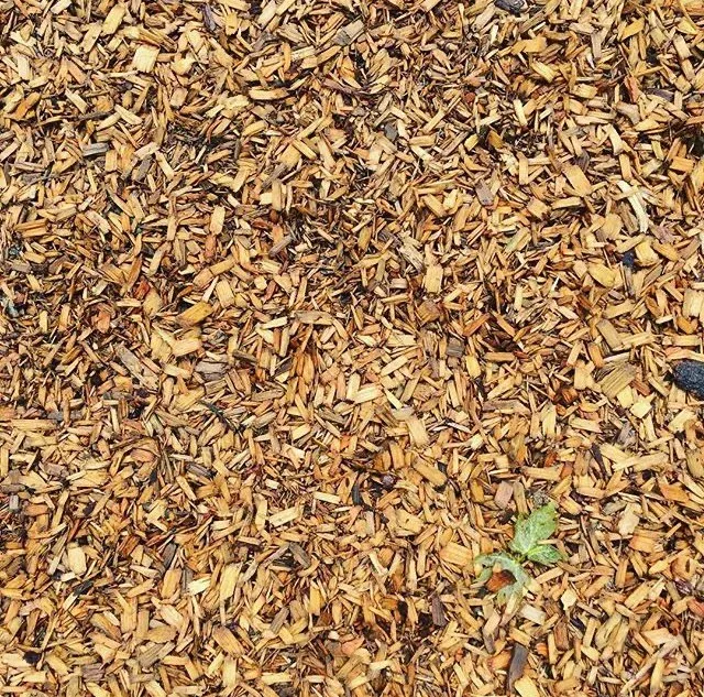 Pruned trees which have been chipped and turned into mulch by RI Tree Care.