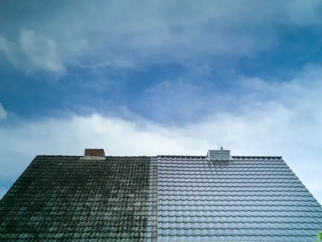 Roof Wash 2
