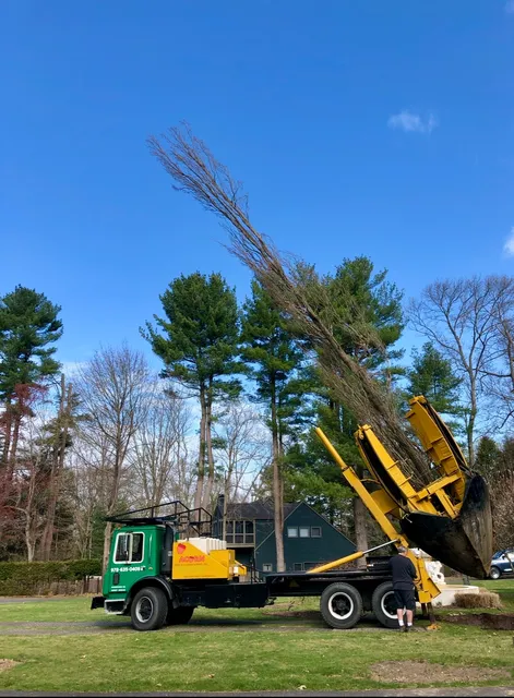 Acorn Tree & Landscaping inc. researched project photo