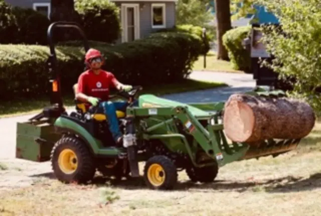 Professional Tree Removal Company