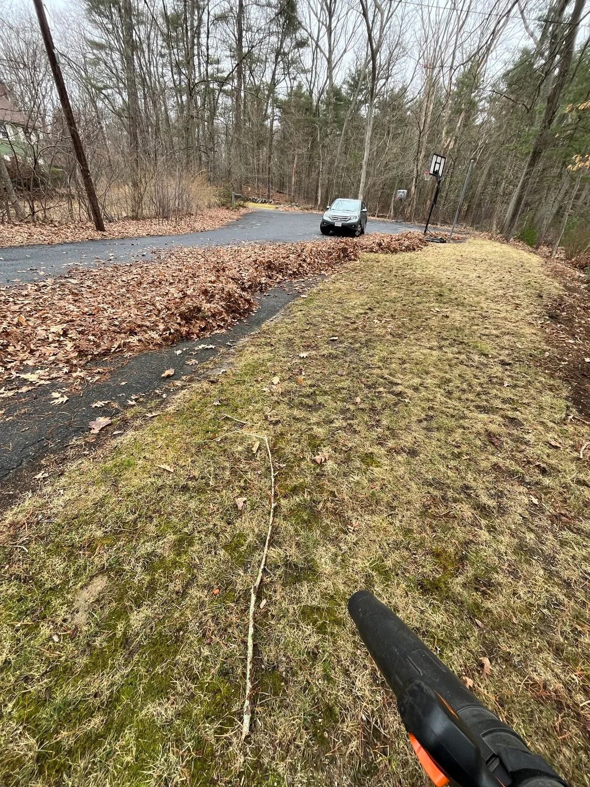 Leaf Cleanup - Szymanski Landscaping