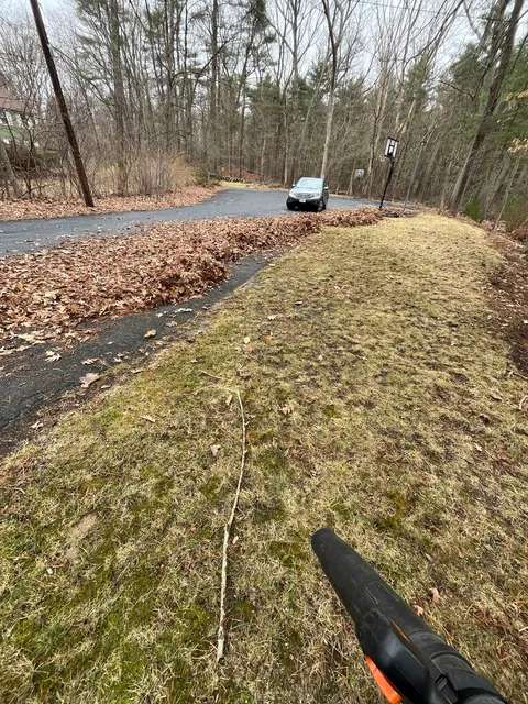 Leaf Cleanup - Szymanski Landscaping