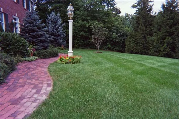 work photo from arbor-turf.com