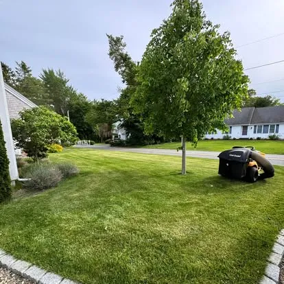 Freshly mowed lawn