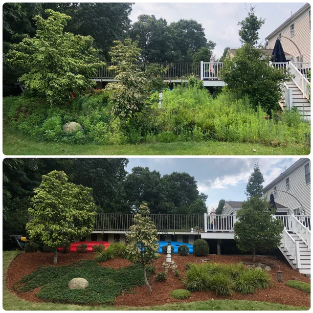 Lawndog Landscapes work photo