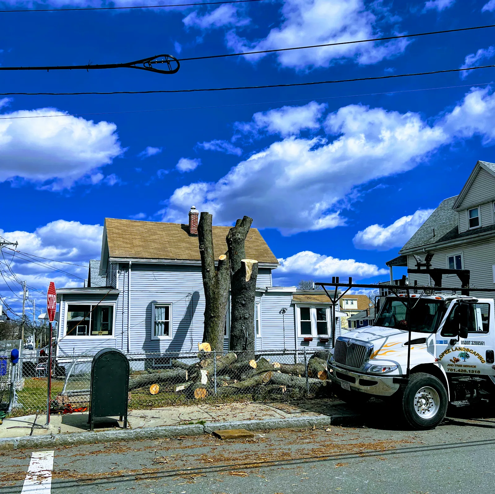 Lopez Landscaping & Tree Service LLC