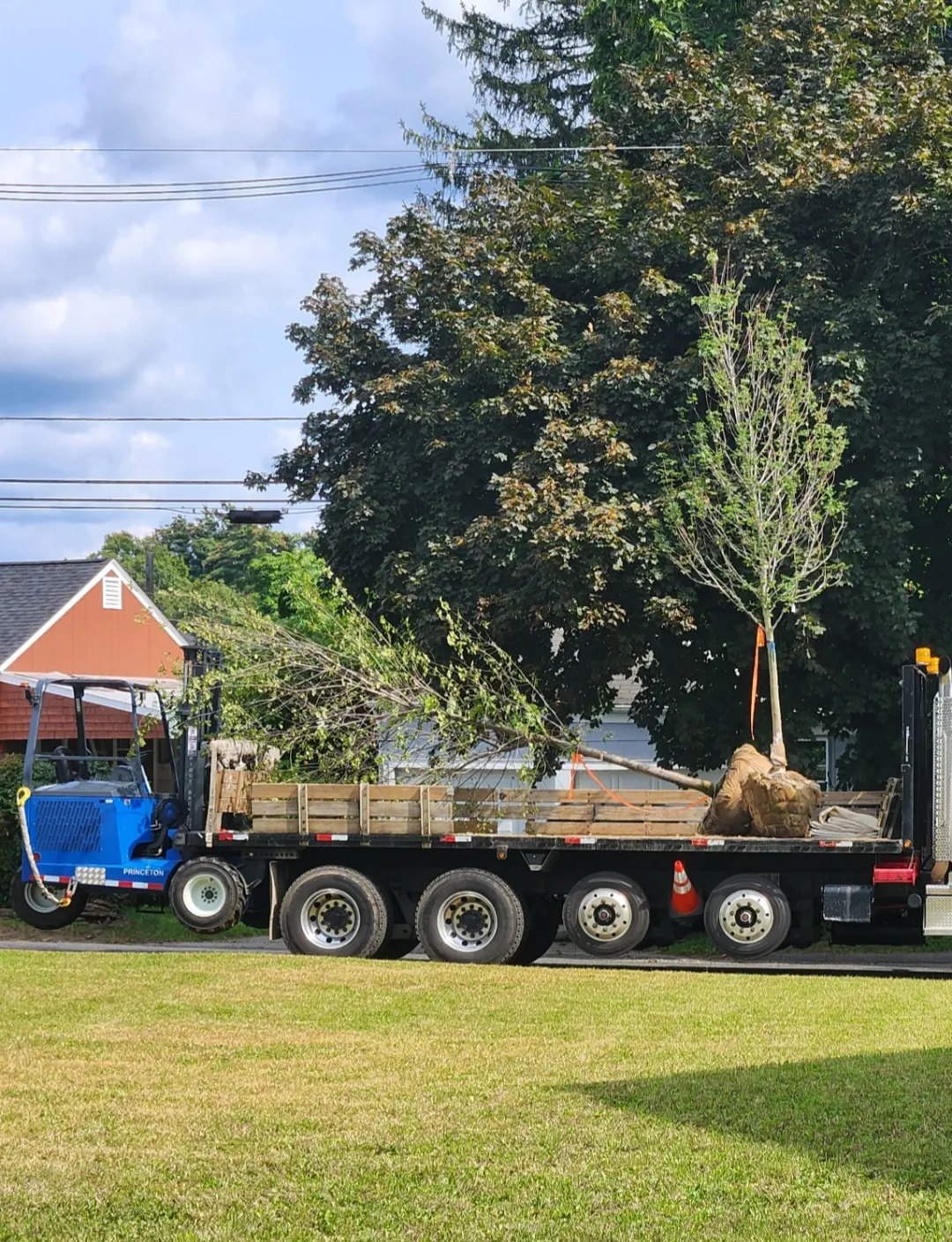 work photo from Google listing