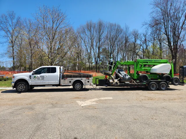 Curtis Tree Care work photo