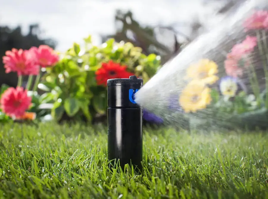 Irrigation-System-Marshfield