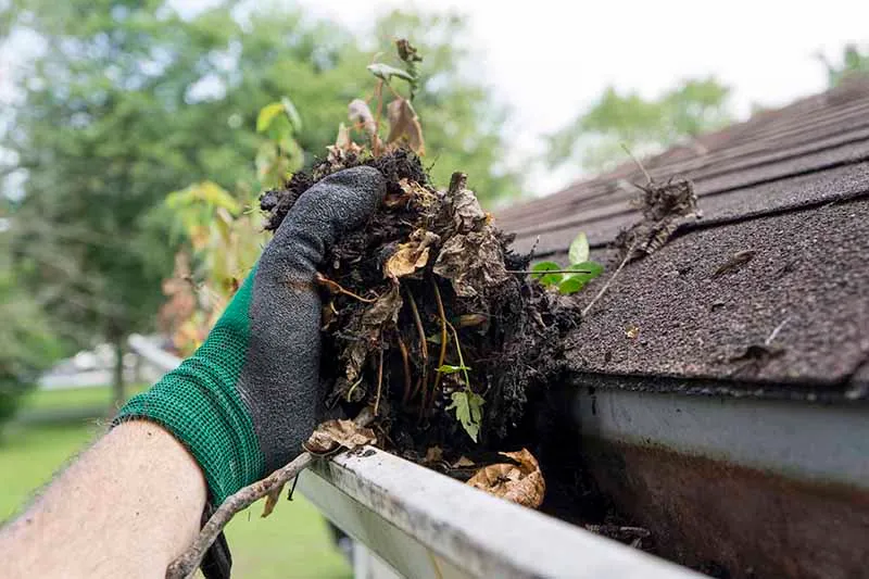 work photo from lakeville-gutter-cleaning.com
