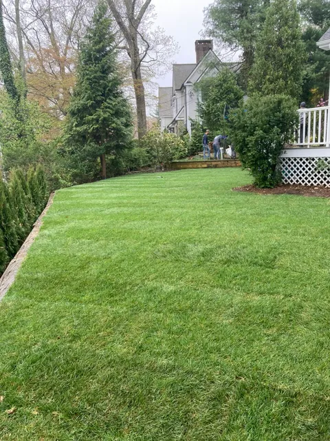 beautiful lawn