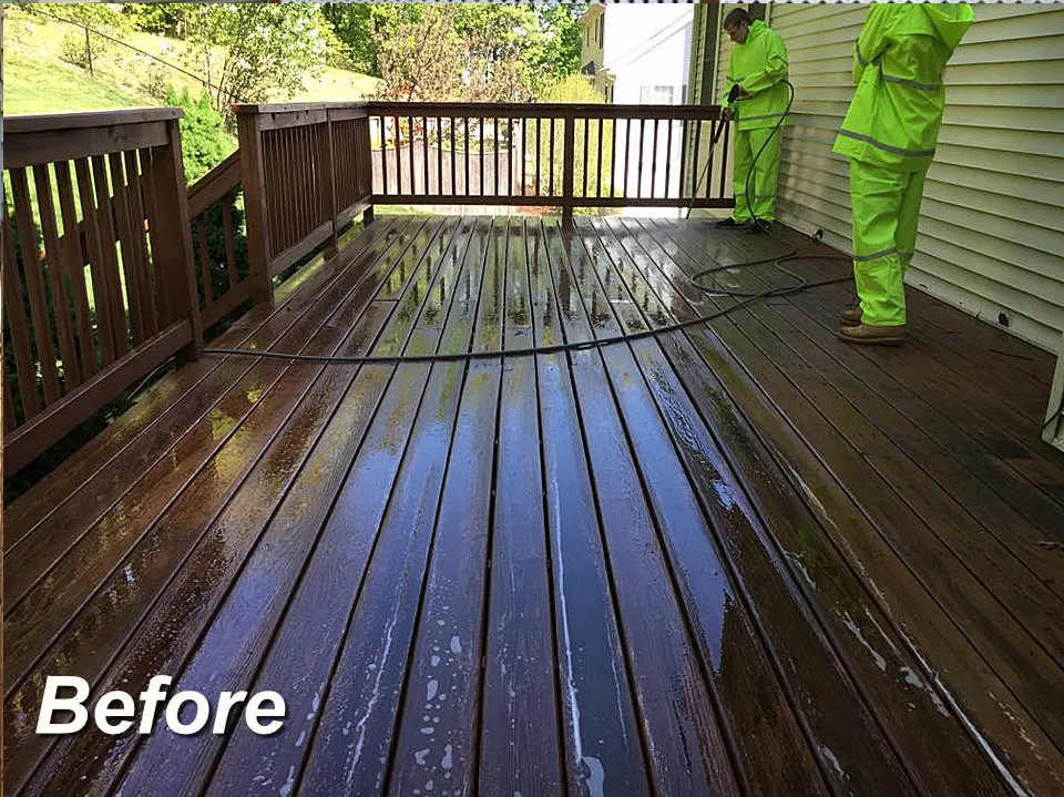 Total Deck Care researched project photo
