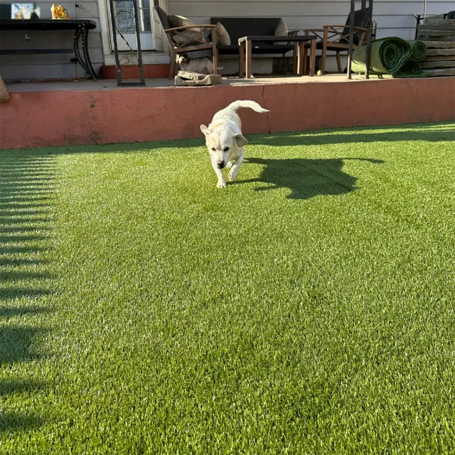 work photo from foreverlawnctny.com