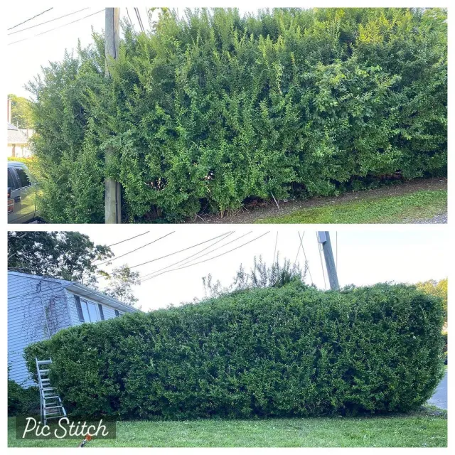 FINESS LANDSCAPING work photo