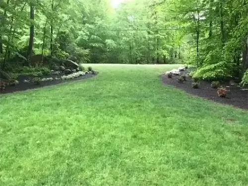 Lawn Design, Brainerd, MN