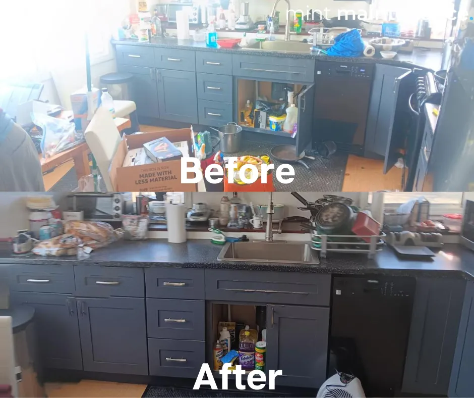 Mint Maintenance
