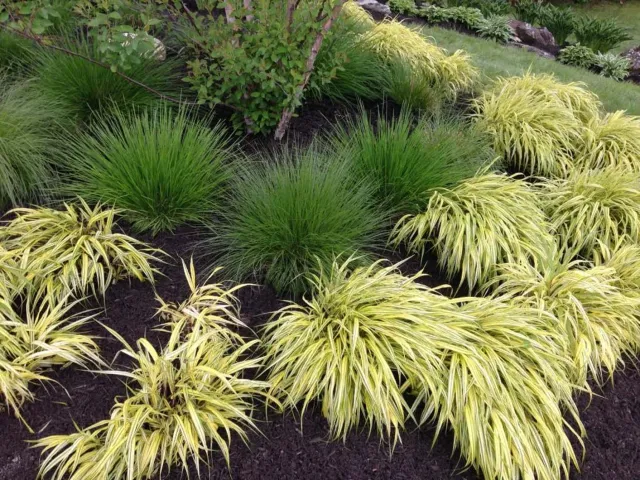 work photo from 207landscaping.com