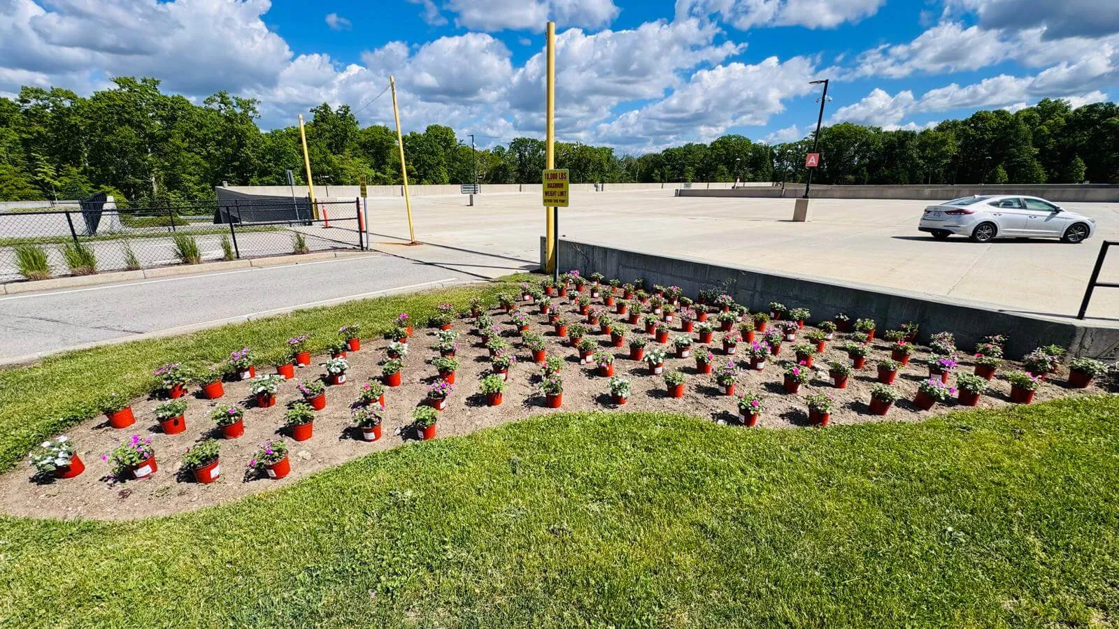 work photo from olmoslandscaping.com