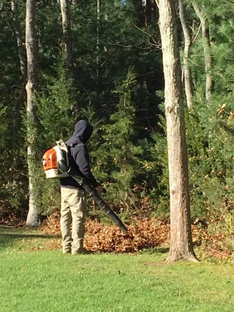 Landscape Services
