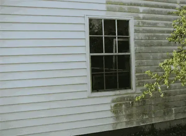 pressure washing in Amherst MA showing House side with window green mold on one side and green mold removed by pressure washing on other side