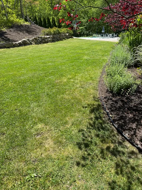 Santos Tree Services & Landscaping work photo