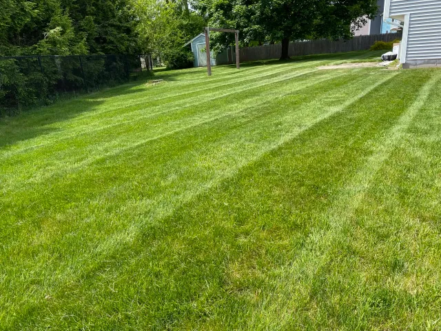 Freshly mowed lawn with visible stripes, surrounded by trees and a fence, next to a house.