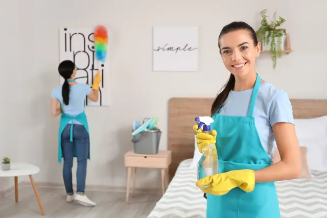 home cleaners