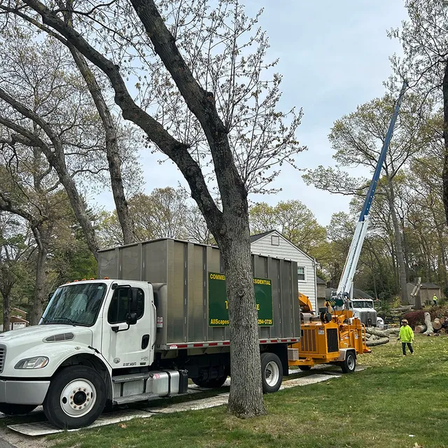 AllScapes Tree Service - Emergency Tree Removal, Trimming, Installation and Stump Grinding - Exeter, RI Office work photo