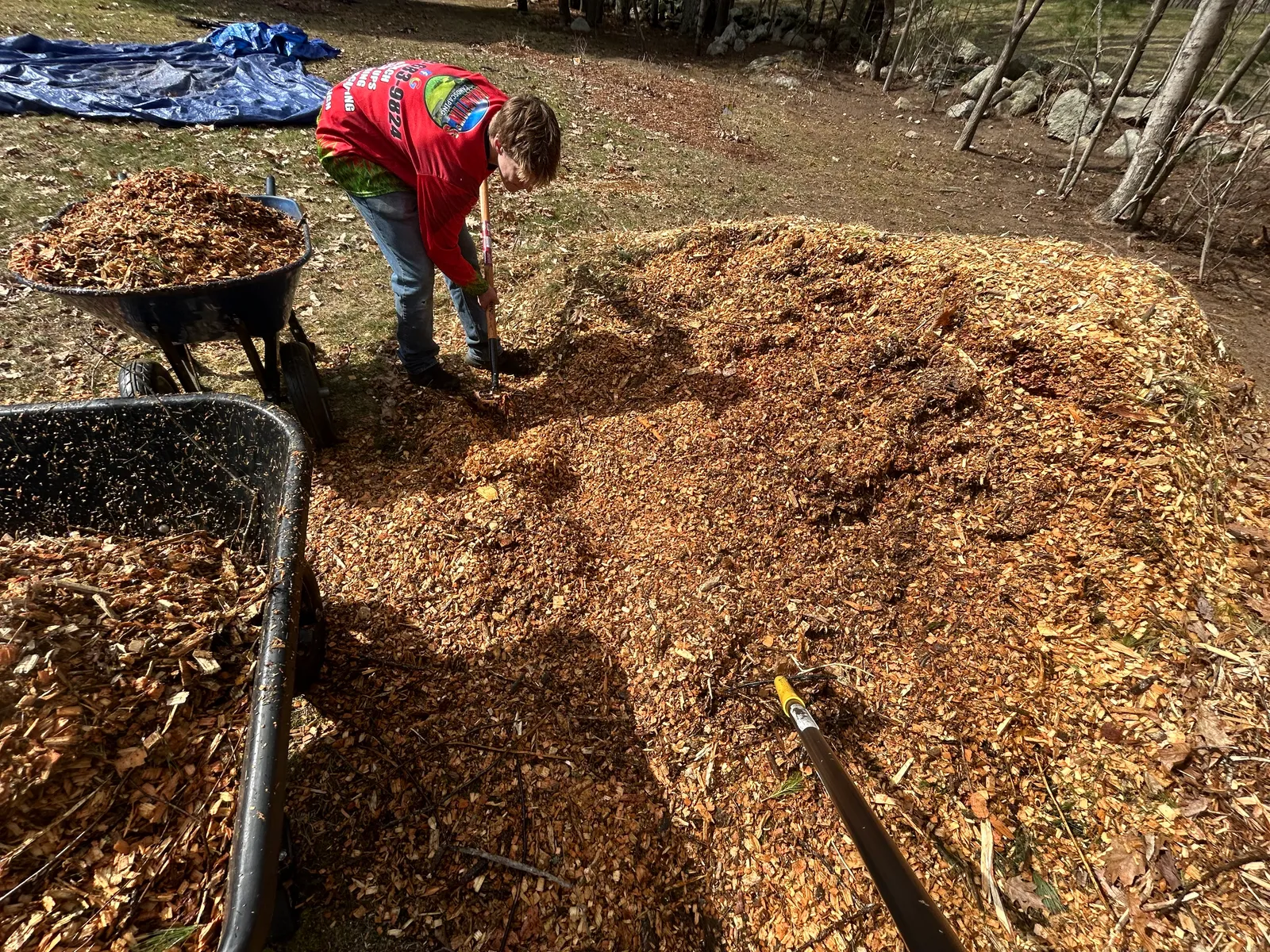 work photo from Google listing