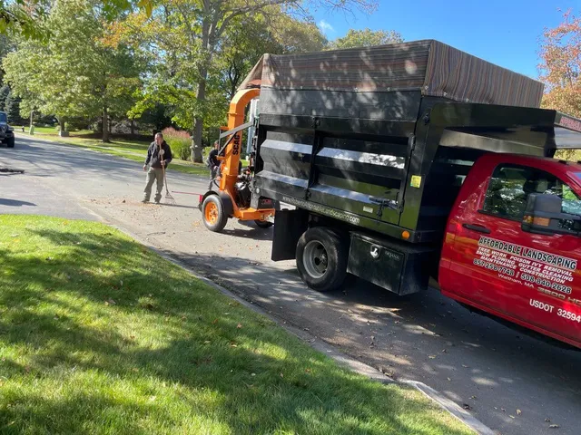 Roberto Affordable Land & Tree Service researched project photo