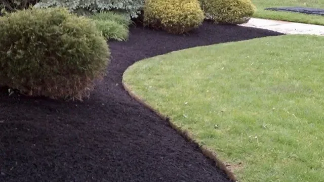 Palma Lawncare + Landscaping work photo