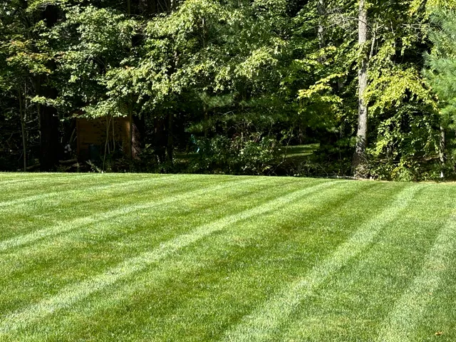 Stingray Turf Management Inc. work photo