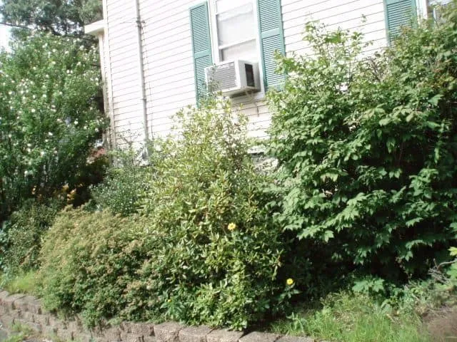work photo from randalllandscaping.com