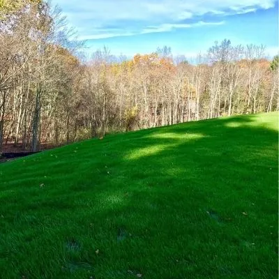 Hydroseeding CT