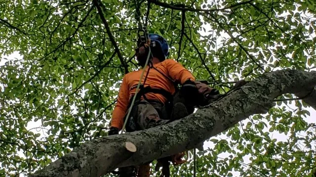 NOTCH YOUR AVERAGE TREE work photo