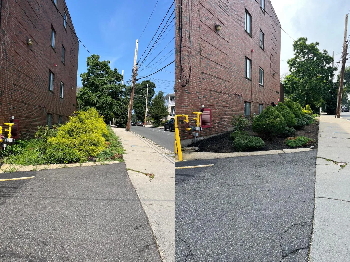 Monteros Tree Service & Landscaping