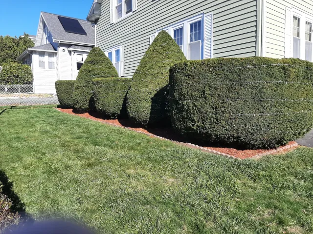 J.S Landscaping work photo