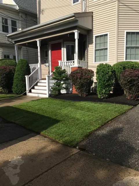 Orellana Landscaping work photo