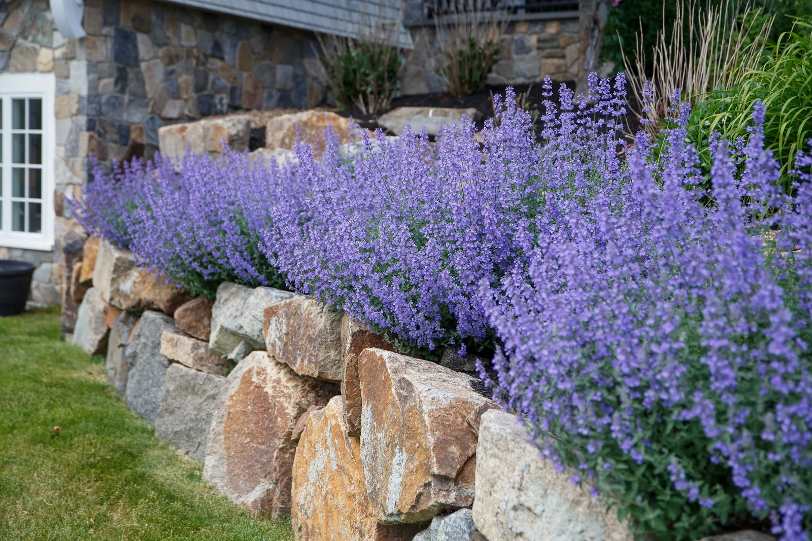 TM Landscaping