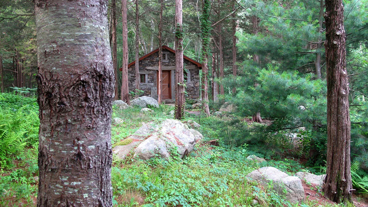 Woodland Cottage
