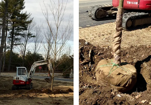 work photo from bonnerlandscaping.com