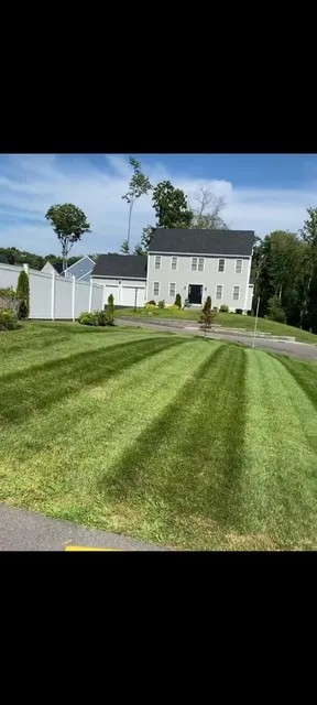E L Landscaping Construction & Tree Services LLC