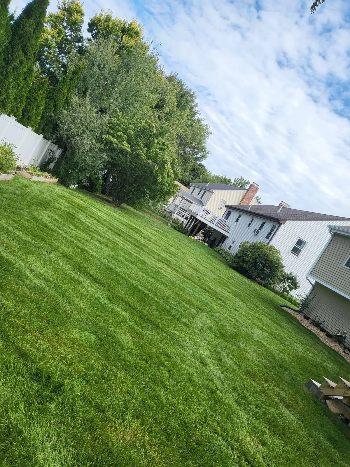 Sarceno Rivera Company researched project photo