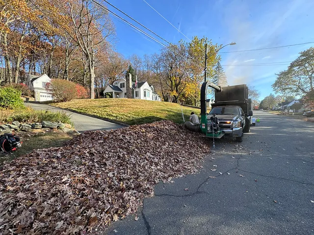 work photo from maylandscapingllc.com