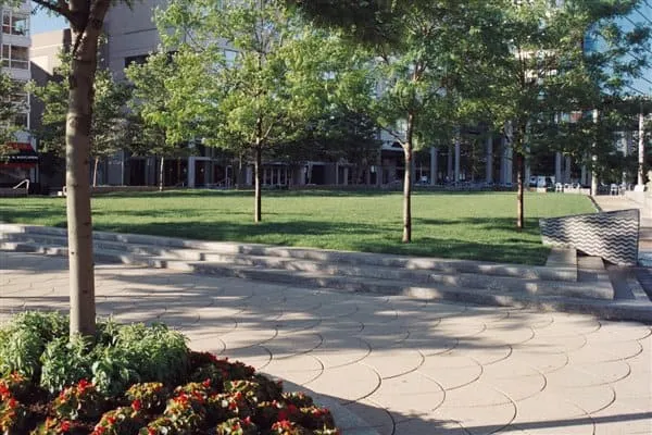 work photo from arbor-turf.com