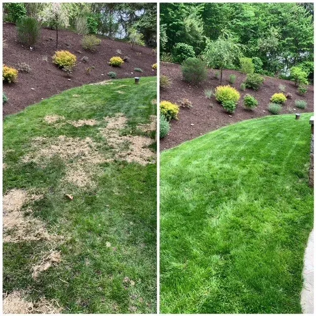 work photo from lattanziolandscaping.com