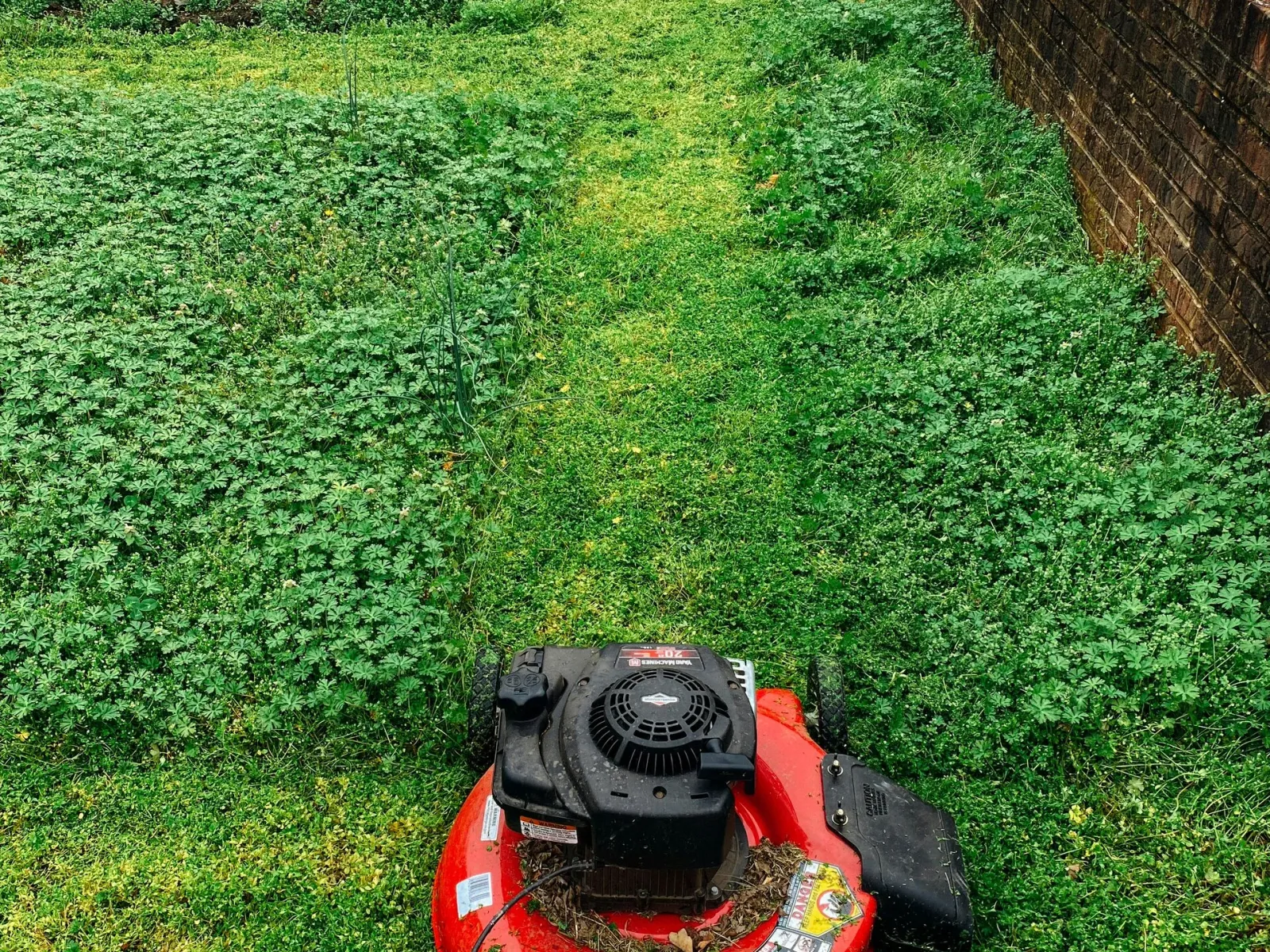 work photo from hinesserviceslawnandsnowremoval.com