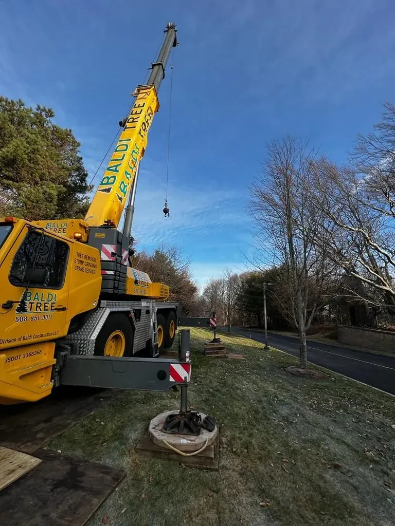 Crane Service