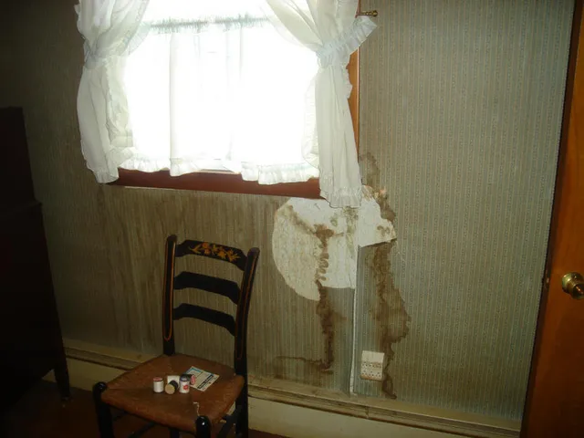 work photo from exclusivepaintingonline.com